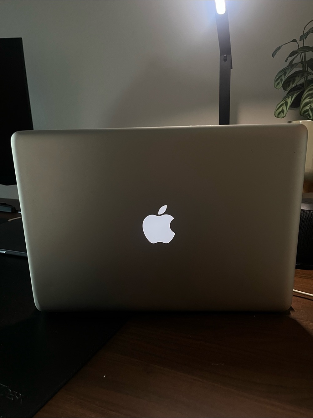 Apple MacBook Pro 13" (Mid 2010) – Works, Comes with 2 Chargers